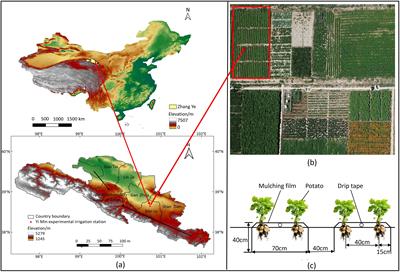 Potato growth, nitrogen balance, quality, and productivity response to water-nitrogen regulation in a cold and arid environment